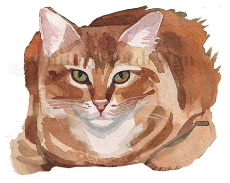 Red Ginger Tabby Cat Clipart Hand Painted Watercolor Digital Etsy