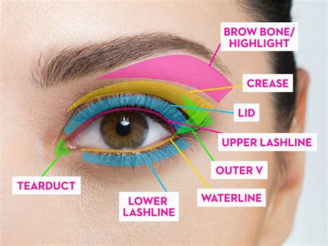 the complete guide to where to put your eye makeup eye makeup guide eye makeup tips eye