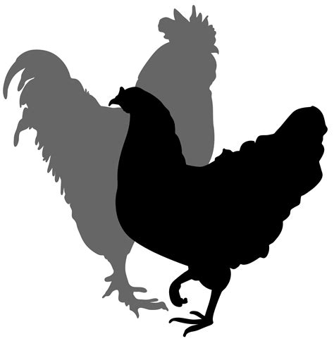 Chicken Vector Png Clipart Best