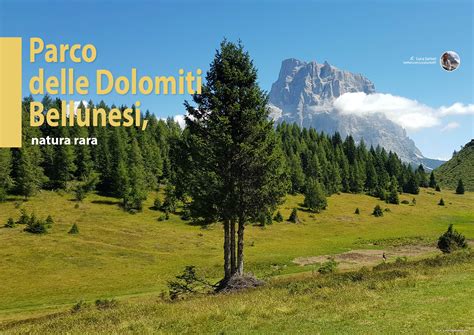 Parco Delle Dolomiti Bellunesi Natura Rara E Borghi Travel N12