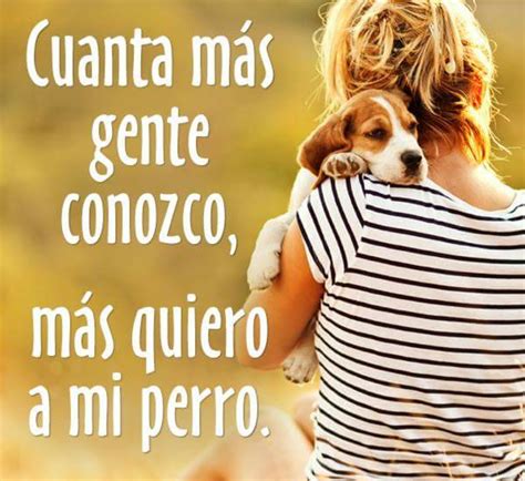Lista 92 Imagen De Fondo Canciones Para Dedicar A Mi Perro En Español