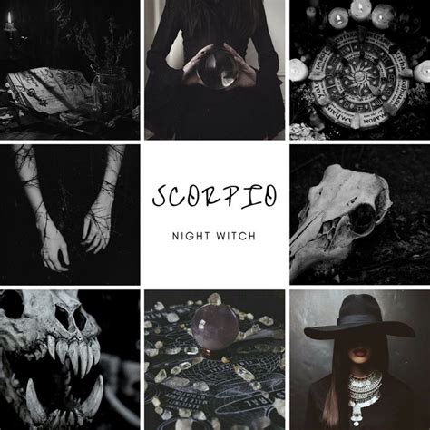 12 Witchy Zodiac Mood Boards Night Witches Zodiac Signs Scorpio Scorpio Art