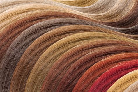 Blonde Hair Swatches Copper Blonde Hair Swatches Color Palette