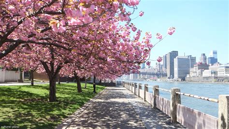 37 Things To Do In Nyc During The Spring