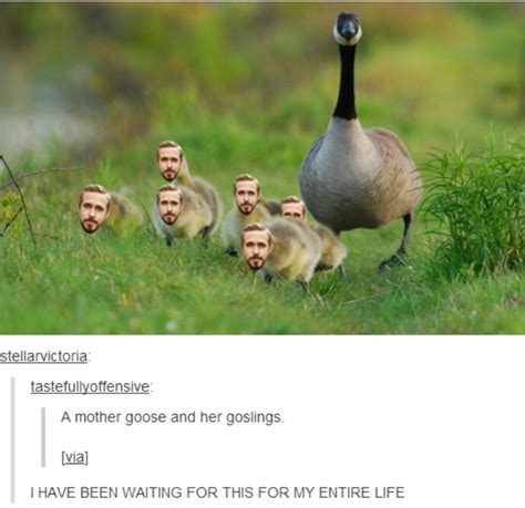 Gosling Meme By Gramckinnon Memedroid