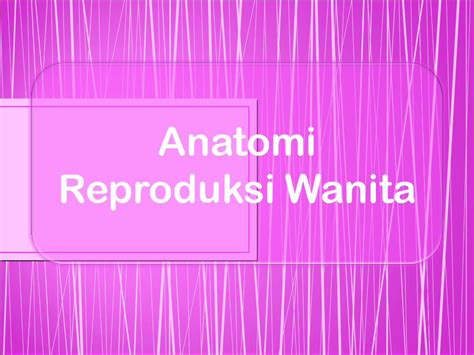 PPT Anatomi Reproduksi Wanita DOKUMEN TIPS