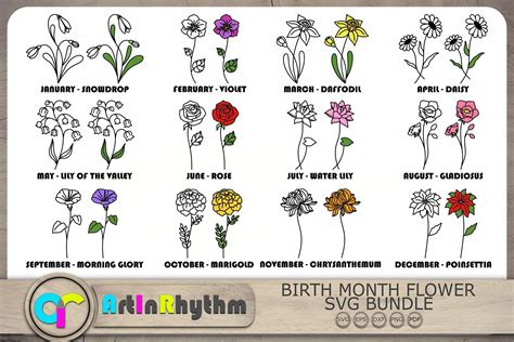 Birth Month Flowers Svg Flowers Svg Gráfico Por Artinrhythm · Creative