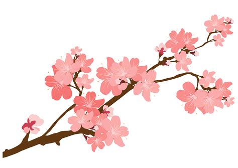 Floral clipart sticker, Floral sticker Transparent FREE for download on