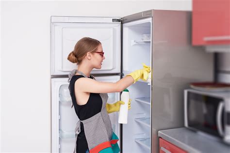 There are plenty of diy pest control remedies out there, but not all techniques are created equal. How to Clean Out a Refrigerator