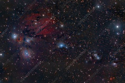 Ngc 2170 The Angel Nebula Stock Image C0335037 Science Photo