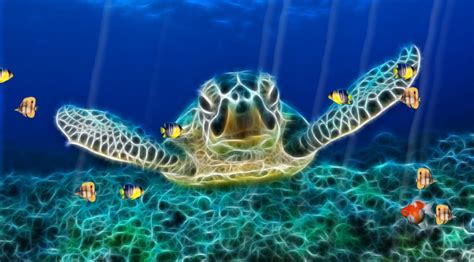 Animated Ocean Desktop Wallpaper Download Wallpapers On Wallpapersafari