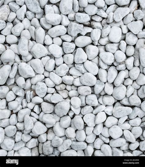 White Pebble Stone Texture And Background Stock Photo Alamy