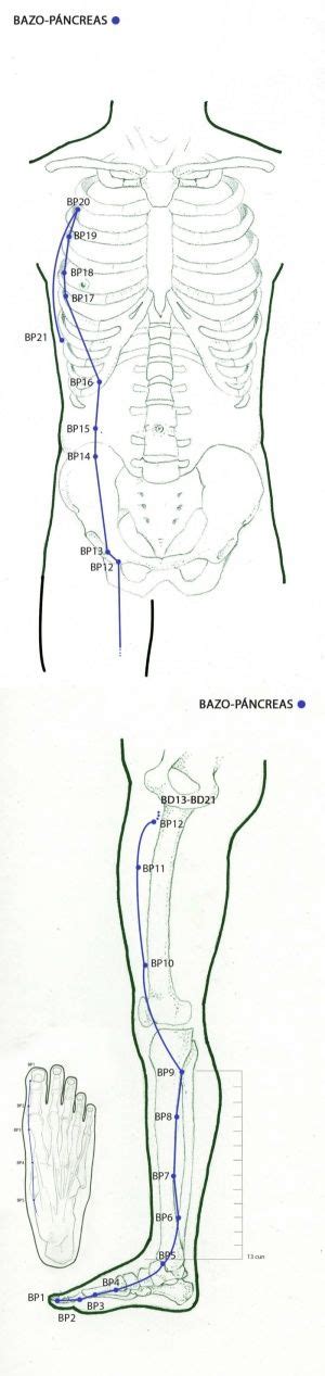 Pin En Acupuntura Meridianos Acupuncture Meridians