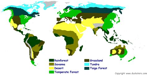 Biome Ecology Connections