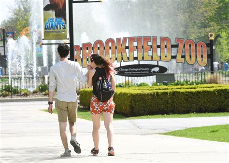 Brief Brookfield Zoo Price Hike Goes To Committee The Daily Line