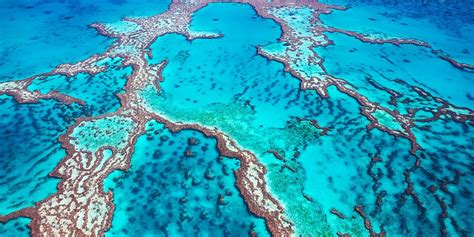 Australia Sydney And Great Barrier Reef W Flights And Tours Travelzoo