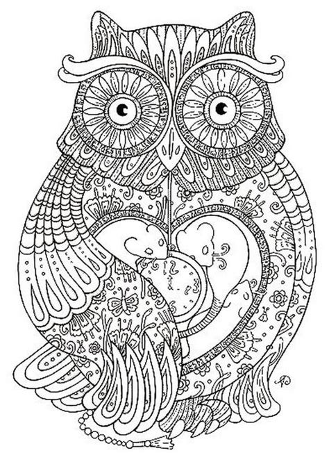 Coloring For Adults Page A Very Detailed Owl