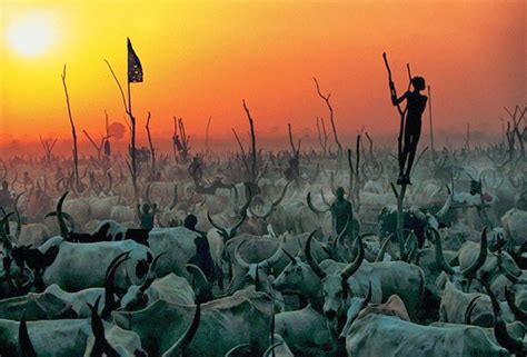 Beautiful Life Of Dinka At South Sudan We Share For Khmer