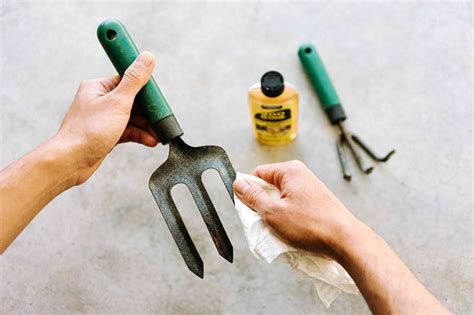 How To Clean Garden Tools