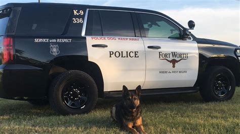 Fort Worth Police K9 Succumbs To Disease Nbc 5 Dallas Fort Worth