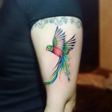 80 intriguing quetzal tattoo ideas [2024 inspiration guide] quetzal tattoo mayan tattoos