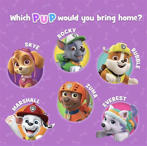 What Are The Paw Patrol Dogs Names