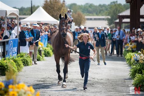 Photo Gallery Weg Eventing First Horse Inspection Eventing Nation