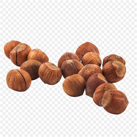 Hazelnut Hd Transparent Northeast Hazelnut Northeast Specialty Nut
