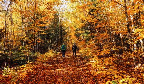12 lesser known fall foliage hikes in canada tripadvisor
