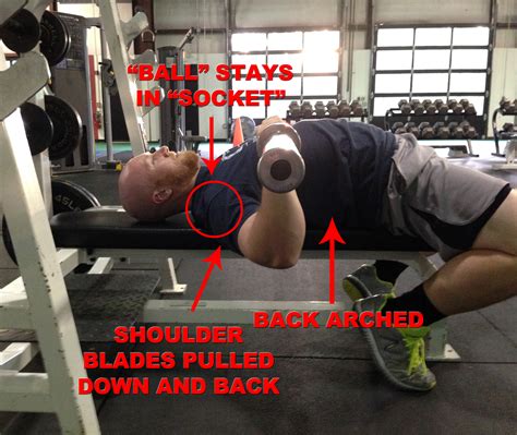 The Bench Press Arch 4 Reasons Why You Should Use It Tony Bonvechio