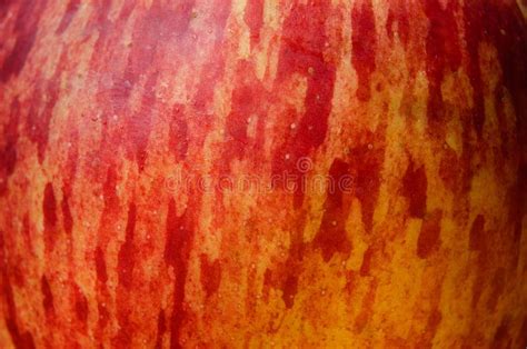 45928 Apple Texture Photos Free And Royalty Free Stock Photos From