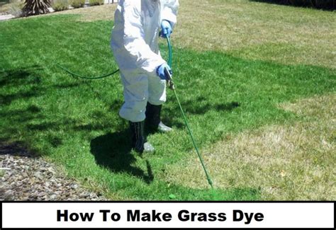 How To Make Grass Dye Keep Your Lawn Lush Green Every Time