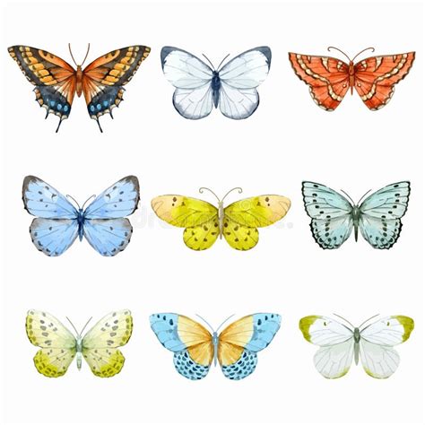 Watercolor Butterflies Vector Set Stock Vector Illustration Of Insect