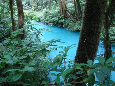 Rio Celeste Tour From Guanacaste Day Tour We Pick You Up In Your Hotel