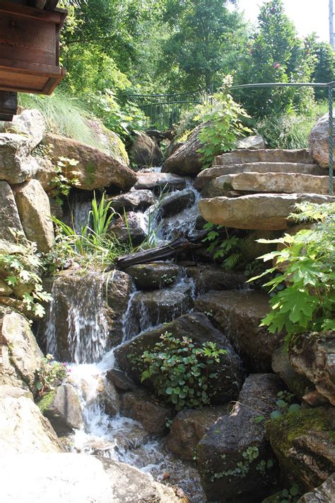 Jim scott's garden is located in central alabama along the banks of lake martin. Jim Scott's Garden on Lake Martin - Living With ...
