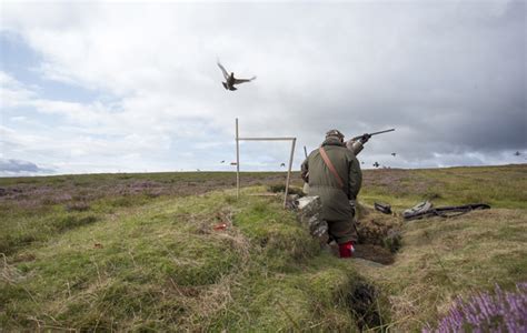 Shoot Grouse Safely The Three Big Errors To Avoid The Field