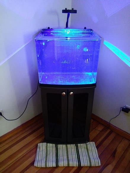 Nano Build Biocube 29g Rimless Build Reef2reef Saltwater And Reef