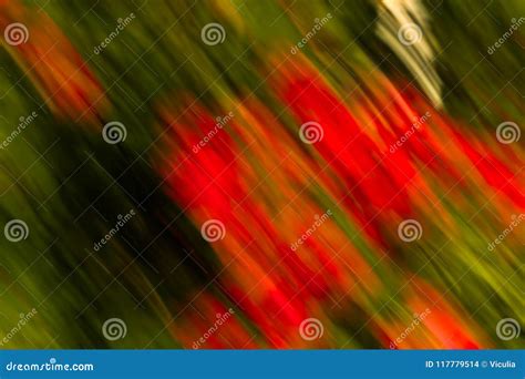 Spring Blurred Flowers Abstract Motion Blur Effect Stock Photo Image