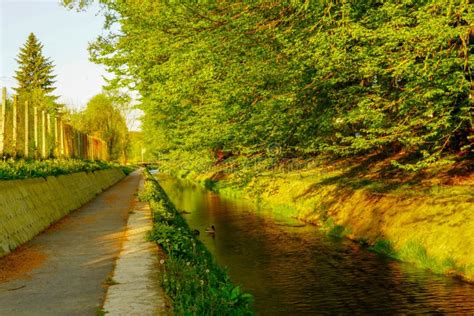 Autumn Forest Path River Stream Landscape Forest Path River Stream In