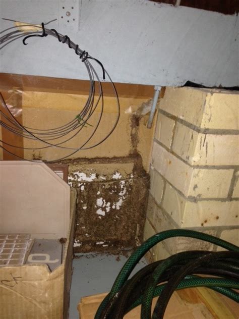 At bpi building and pest inspection, we provide a large range of inspection services and use advanced reporting techniques, quality tools and technology to get your report to you on the same day. Blog - BPI Building and Pest Inspections Bundaberg - Matt ...