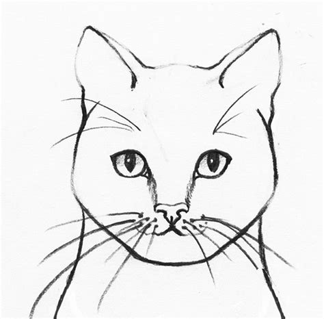 How To Draw A Realistic Cat Step By Step Udemy Blog