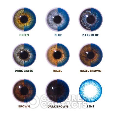 Two Tone Natural Blue Colored Contact Lenses Electric Blue Lens