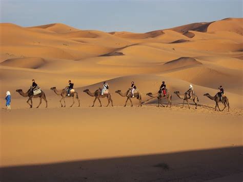 Travel Sahara Desert North Africa Tour Of Life In The Sahara Desert