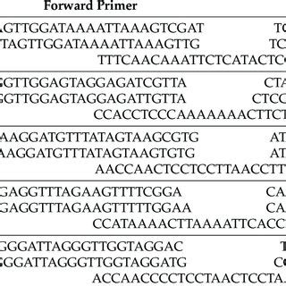 Pathway Enrichment Of Activated Genes In The Autumn Group A K Means