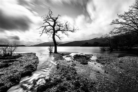 Photography Pictures Nature Black And White Designingboards