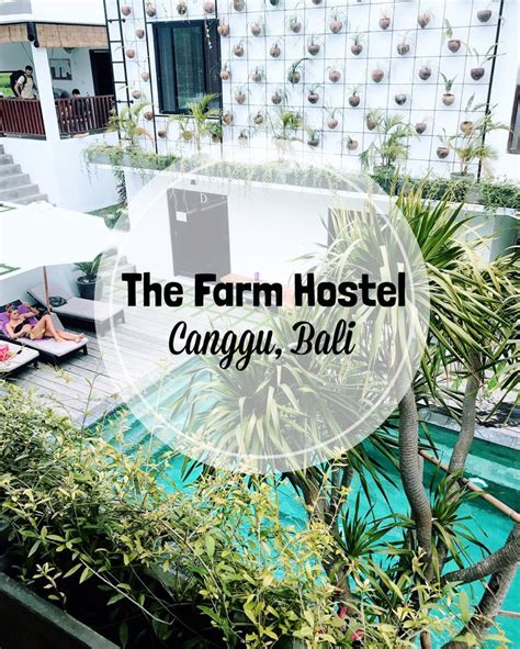 The Best Hostel In Bali The Farm Taverna Travels Asia Travel Travel Destinations Asia