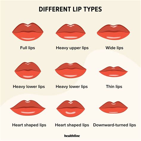 Types Of Lips Lip Care Lip Enhancement And Lip Facts