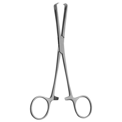 Vulsellum Forceps Straight 10 Curewell Surgical Store