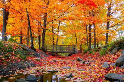 15 Road Trip Stops To See The Best Autumn Colors