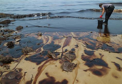 Video The Cost Effective Technology That Can Clean Up Oil Spills